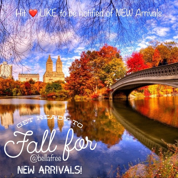 ▪️GUIDELINES ▪️PLEASE Read - Picture 7 of 8